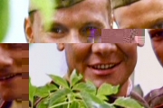   44-