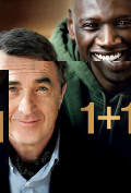 1+1