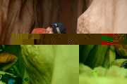 127 