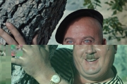  ,    